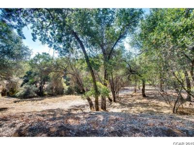 336 Catalpa Lane, Angels Camp, カリフォルニア 95222, アメリカ合衆国