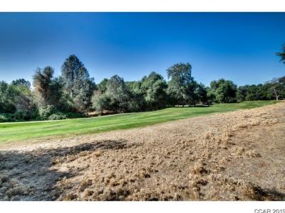 336 Catalpa Lane, Angels Camp, カリフォルニア 95222, アメリカ合衆国