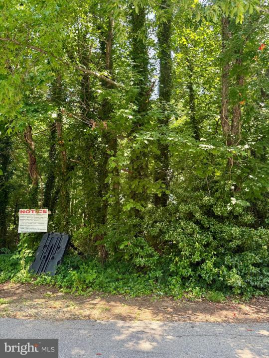 509 Overhill Drive, Edgewater, 马里兰州 21037, 美国