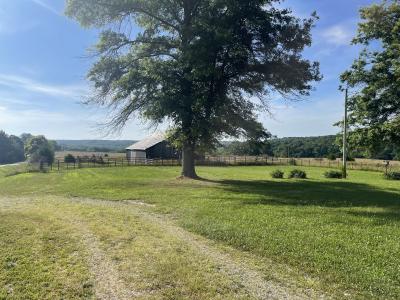 20680 Hwy 32 , Licking, Missouri 65542, États-Unis