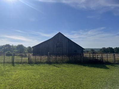 20680 Hwy 32 , Licking, Missouri 65542, États-Unis