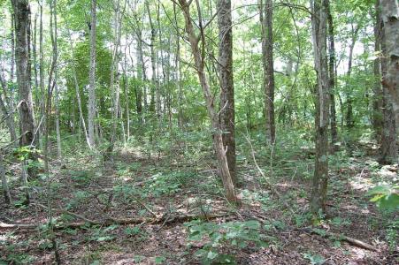 10 Laural Brook Rd, Dunlap, Tennessee 37327, Stati Uniti