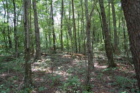 10 Laural Brook Rd, Dunlap, Tennessee 37327, Stati Uniti