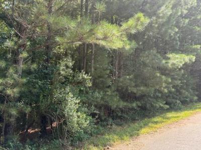 0 Amanda Court, Greenville, Georgia 30222, Amerika Birleşik Devletleri