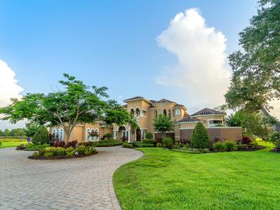12125 Stonelake Ranch Blvd, Thonotosassa, Florida 33592