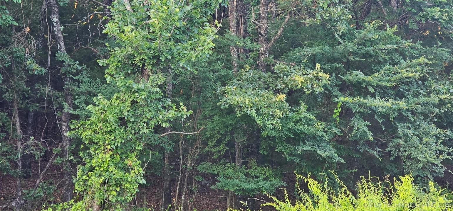 E Moonshine/1000 Road, Gore, Oklahoma 74435, États-Unis
