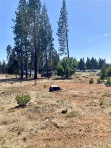 13933 Carver Drive, Magalia, California 95954