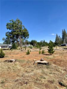 13933 Carver Drive, Magalia, California 95954