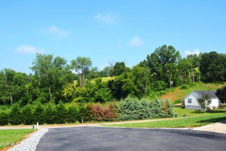 255 Rolling Hills Drive, Church Hill, Tennessee 37642, HOA KỲ