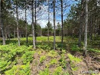 Ch. des Outaouais, L'Île-du-Grand-Calumet, Quebec J0X 1J0, Kanada