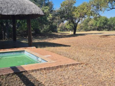 Phalaborwa, Limpopo, דרום אפריקה