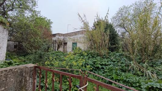 Loulé, Faro 8100-010, Portugal