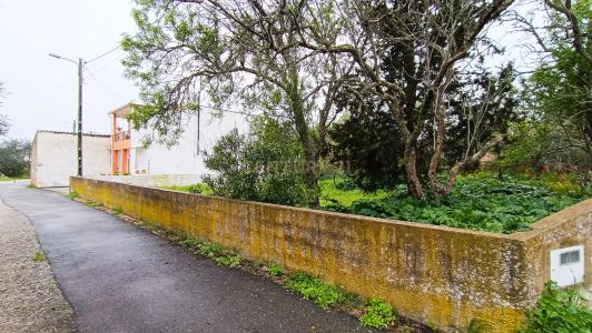 Loulé, Faro 8100-010, Portugal