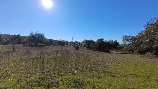 Loulé, Faro 8100, Portugal