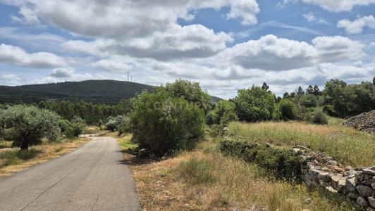 Soure, 코임브라 3130-021, 포르투갈