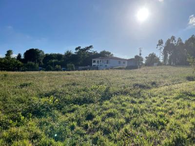 Oliveira Do Bairro, Aveiro 3770-059, Portugal