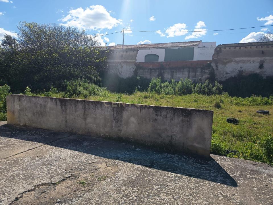 Alvito, Beja 7920-057, Portugal
