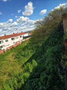 Alvito, Beja 7920-057, Portugal