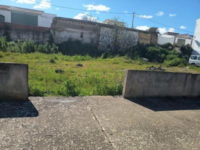 Alvito, Beja 7920-057, Portugal