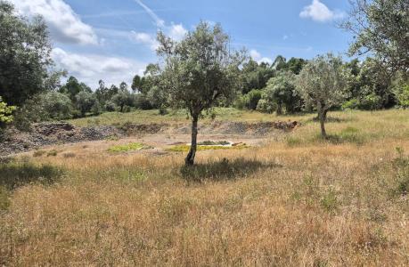 Soure, 코임브라 3130-021, 포르투갈