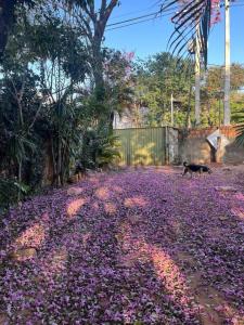 Yrendague y Primer Presidente 973, Trinidad, Asunción 00001, Paraguay