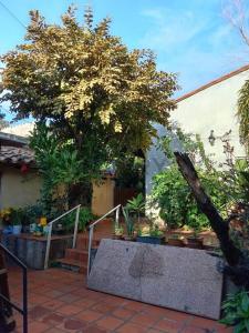 Vista Alegre, Asunción 00001, 파라과이