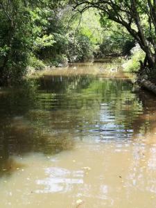 Caapucú, Paraguarí 00001, Le Paraguay