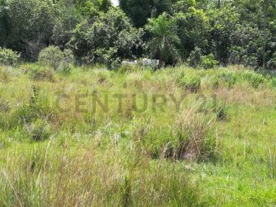 Caapucú, Paraguarí 00001, Le Paraguay