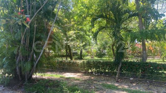 8 69,, Minatitlan, Veracruz 96850, Mexique