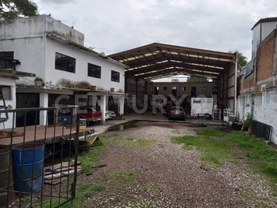 Cuautla, Morelos 62756, Mexico