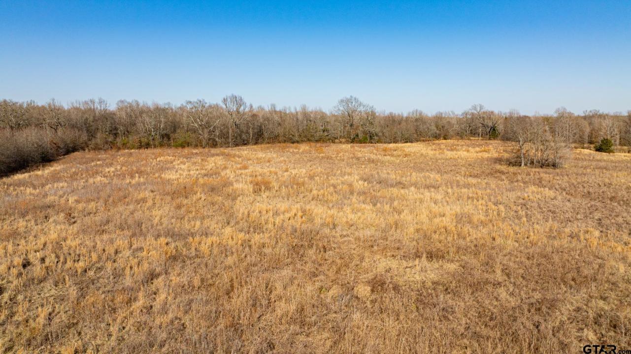 TBD CR 4650, Dekalb, Texas 75559, États-Unis
