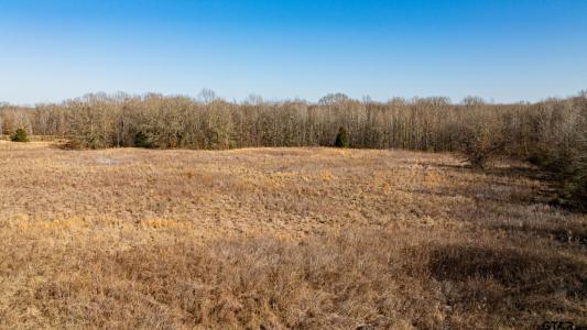 TBD CR 4650, Dekalb, Texas 75559, États-Unis