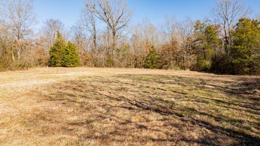 TBD CR 4650, Dekalb, Texas 75559, États-Unis