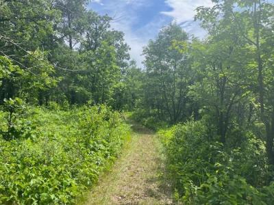 2750 330th Street, Sterling Twp, Wisconsin 54840, Estados Unidos