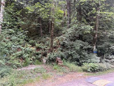 64017 E Cascade Drive , D1-194, Marblemount, Washington 98267