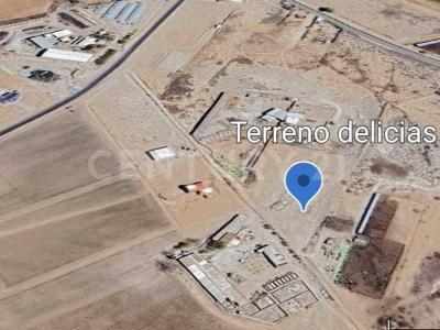 Delicias, Chihuahua 33100, Mexico