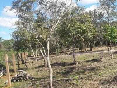 Itenez, Beni 00001, Bolivie