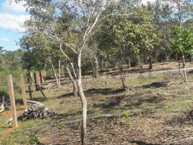 Itenez, Beni 00001, 볼리비아