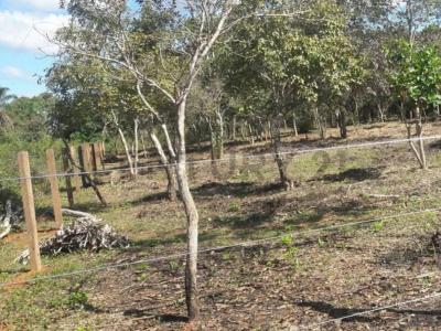 Itenez, Beni 00001, Bolivie