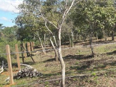 Itenez, Beni 00001, 볼리비아