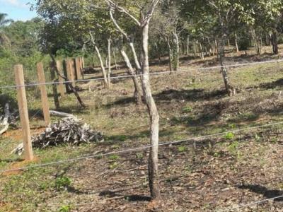 Itenez, Beni 00001, Bolivie