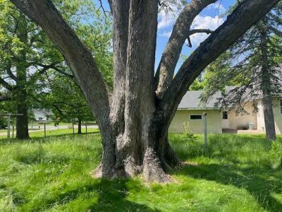 241 South Street W, Amery, Wisconsin 54001, HOA KỲ