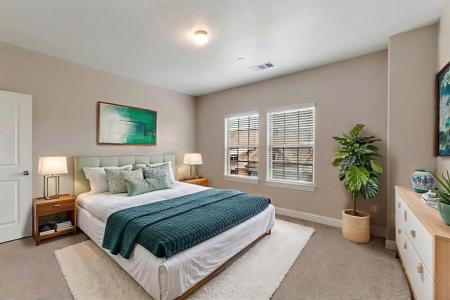 294 Ferndale Street, Lewisville, Texas 75056, HOA KỲ