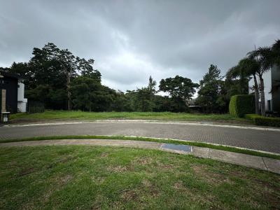 Guácima Alajuela, Alajuela 00001, Costa Rica