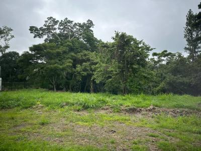 Guácima Alajuela, Alajuela 00001, Costa Rica