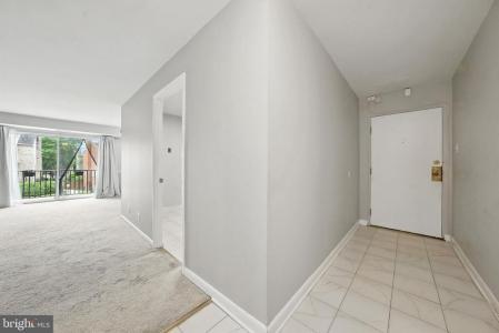 12001 Old Columbia Pike , 305, Silver Spring, Maryland 20904, Estados Unidos