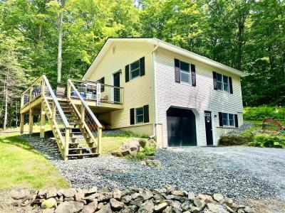 670 Wayeeses Shore Road, Morgan, Vermont 05853, USA