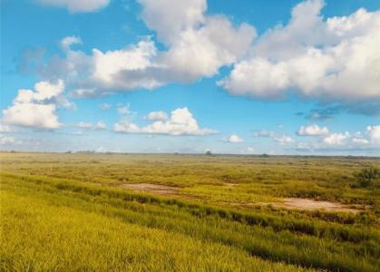0-4.988 Acres FM 2918 RD, Brazoria, Texas 77422, USA