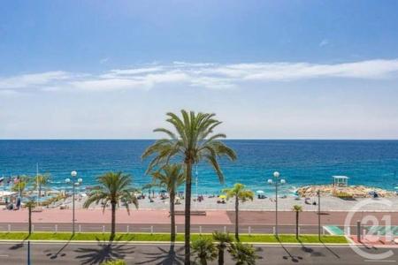 ניס, Provence-Alpes-Côte D'Azur 06000, צרפת 