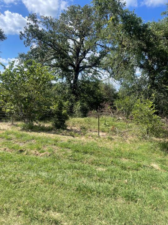293 CR 3432, Paradise, Texas 76073